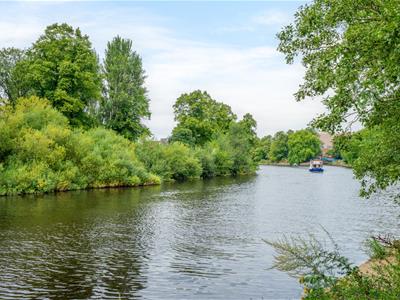 Picture 21